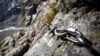 via ferrata