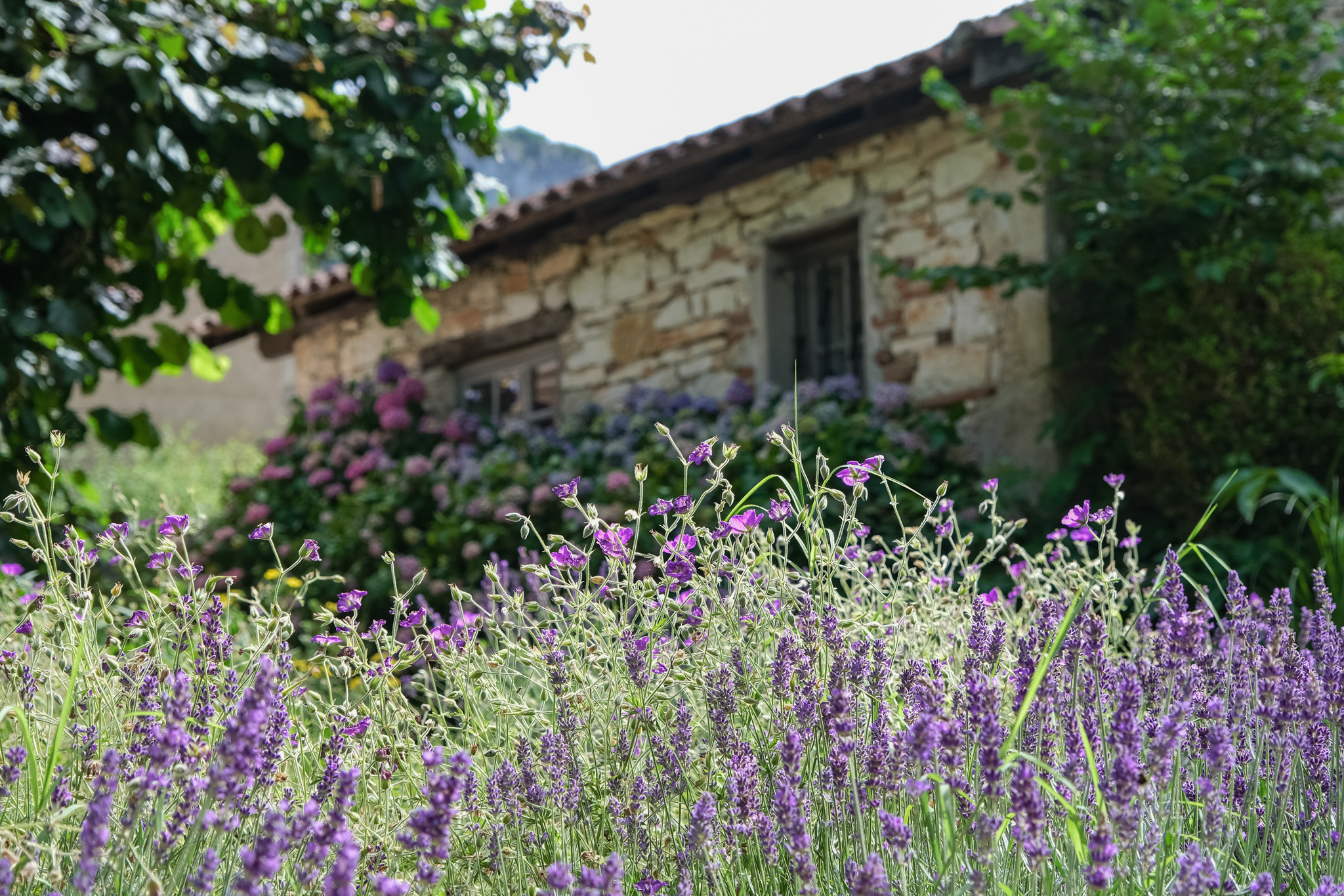 camping ecoresponsable